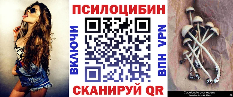MEGA зеркало  Заводоуковск  Галлюциногенные грибы MAGIC MUSHROOMS 
